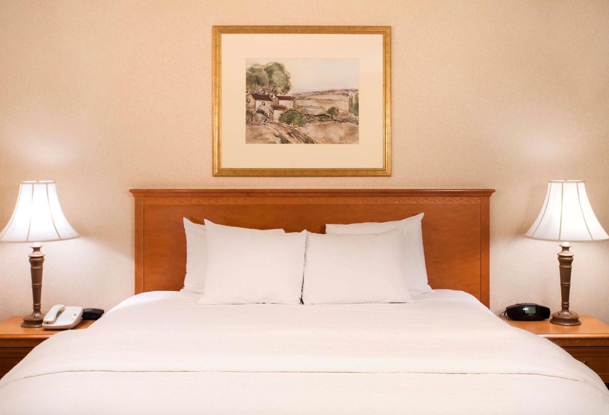 Hampton Inn & Suites אדיסון מראה חיצוני תמונה